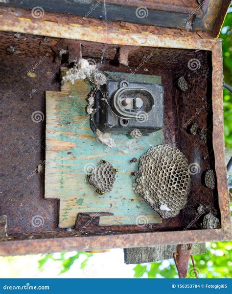 gray bug nest with scales electrical box|electrical panel box wasps.